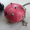 Lolita Simulation Fruit Keychain Y2K Pu Fruits Bag Pendant Star Rivet Bag Charm  Key Ring