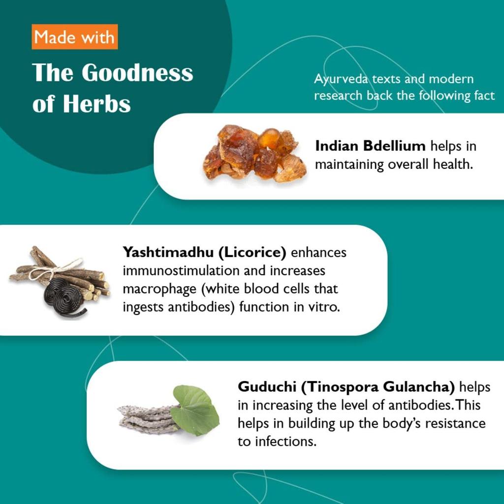 Himalaya 2 x Septilin Sirup 200ml | Immununterstützung, Wellness-Pflege, Kräuterergänzung für die tägliche Gesundheit