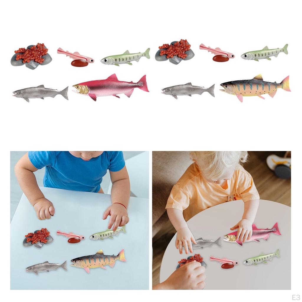 Educational Salmon Life Cycle Toy Set with Realistic Farm Animals