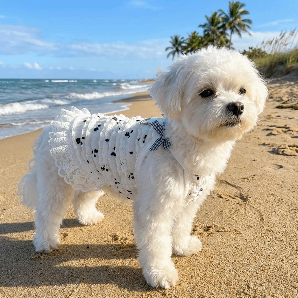 Embroidered Flower Dog Lace Dress Lace Bowknot Puppy Summer Clothing  for Puppy Cats