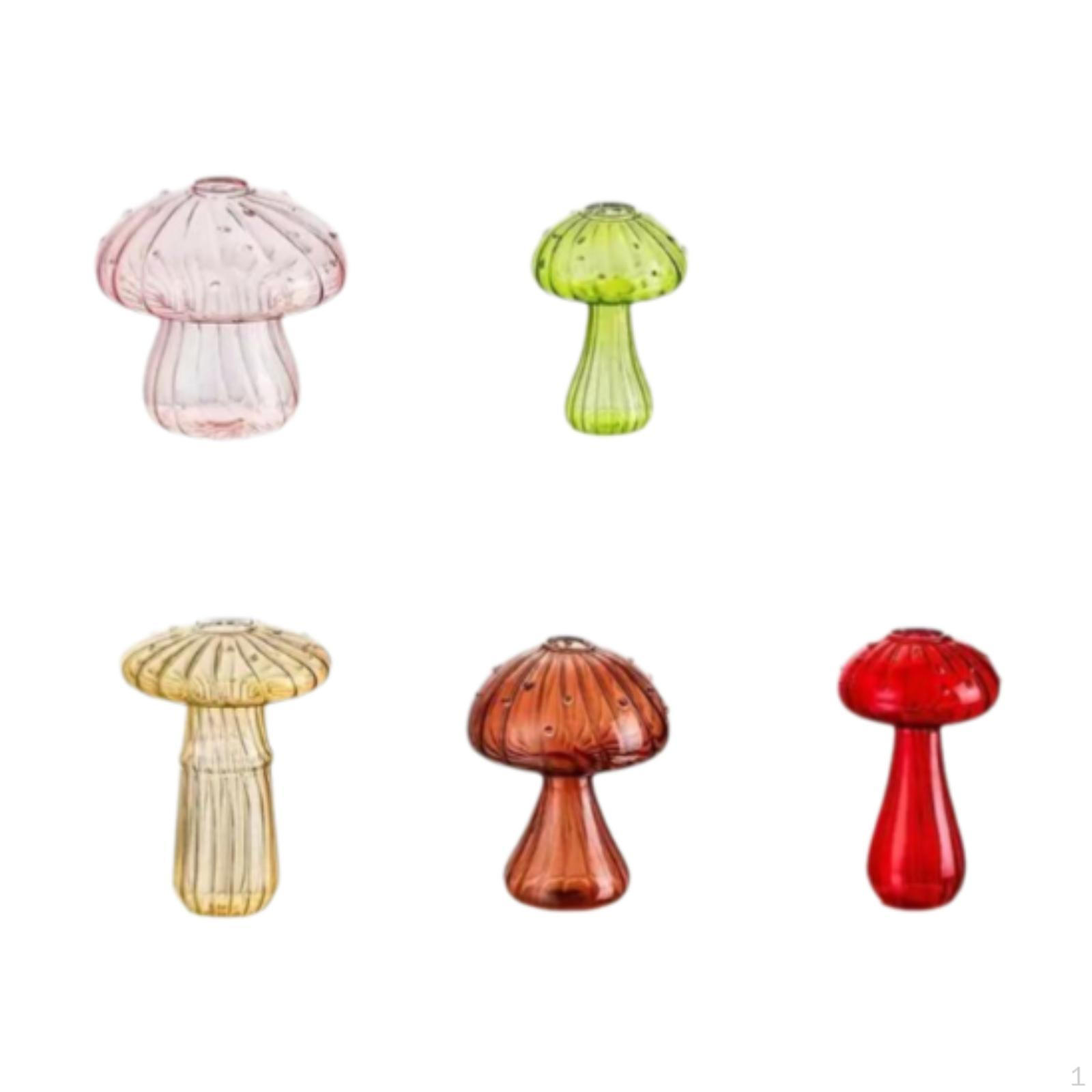 

Стеклянные вазы для комнатных растений и декоративных целей 5pcs