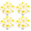 50Pcs White Yellow Faux Frangipani Flower For Wedding Decoration Home Party Realistic Plumeria Florals
