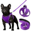 Ultimate Comfort Reflective Step-In Dog Harness and Leash Set - Soft Padded Breathable Mesh Vest with Adjustable Nylon Leash for