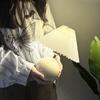 Table Lamp, Indirect Lighting, Stand Light, Night Light, Nursing Light, Pleated Shade, Small, Cute, Corded, Popular with Women, Ceramic Base, Birthday