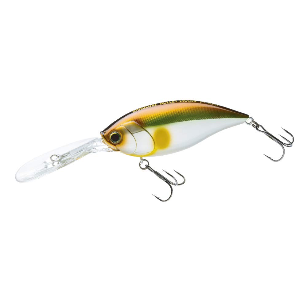 

DUEL Lure Crankbait Hardcore Bullet Crank 100F Tackle Fishing Gear Sea Fishing Freshwater Sea 100mm Metallic Ghost Ayu 7+ [Fishing Bass] R1422-MGSA