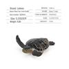 Children's Marine Animal Model Set: Mini Whale, Shark, Dolphin, Turtle, Sea Lion