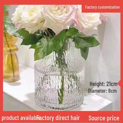 Influencer-Style Retro Glass Vase for Hydroponic Flowers, Living Room or Dining Table Décor