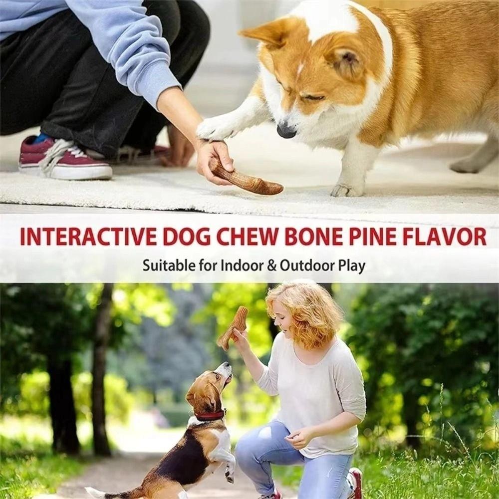 Creative Puppy Molar Toys Bone Shape Dog Interactive Toys Portable Dog Chew Stick  Pet Dental Care