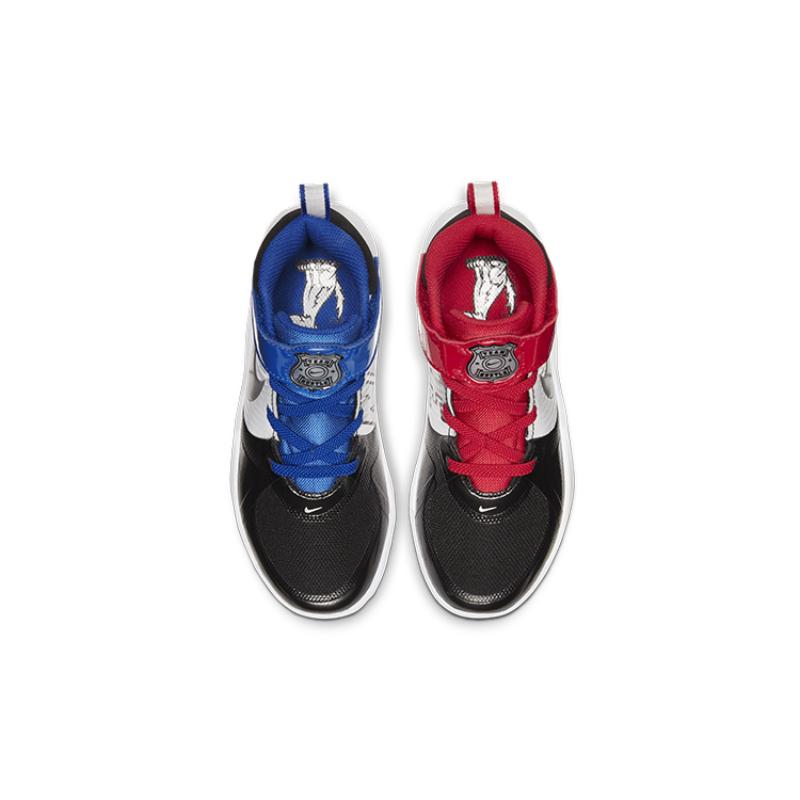 Nike Team Hustle D9 Metallic Silver Sneakers CQ4278-001