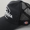 Dickies Classic Mesh Cap - Original Logo / Black (DK-14631300) - Free Size