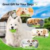 Puppy Teething Chew Clean Toy Balls Interactive Dog Treat Dispensing Ball Rubber Small Pet Enrichment Brain Stimulating Games