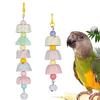Colorful Parrot Chew Toy with Bell Bird Cage Decoration New Bird Toy Supplies
