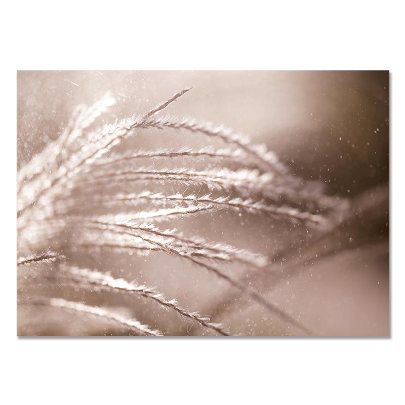Reed Wild Plant Sand Nordic Posters And Prints Wall Art Canvas Painting Wall Pictures For Living Room Scandinavian Home Decor