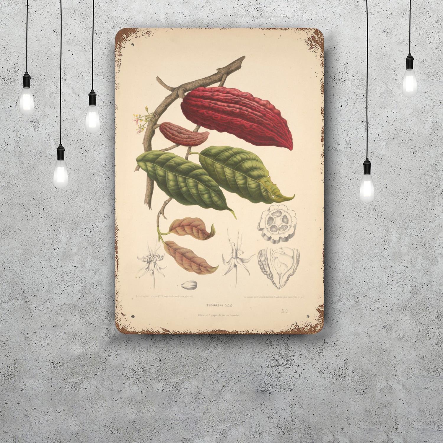 

cacao Vintage Tin Sign Home Decor Items Wall Decor Art Wall Mural Room Decoration Items Decor Retro Metal Sign Plate Bar Posters 20x30cm（7.8x11.8inch）