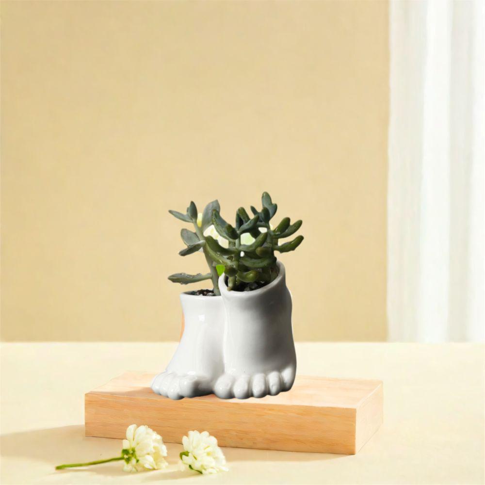 Decorative Feet Shape Flower Pot Ceramic Hydroponic Flower Holder Creative Vase Ornament Office