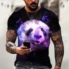 Funny Panda T-Shirts Animal 3D Print Streetwear Men Women Casual Fashion