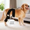 Breathable Adjustable Pet Joint Protection Covers Comfortable Dog Knee Brace Rear Leg Brace Dog Arthritisd Protector Leg Wrap