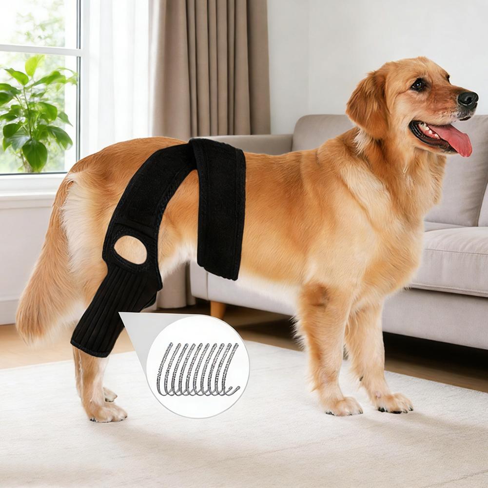 Breathable Adjustable Pet Joint Protection Covers Comfortable Dog Knee Brace Rear Leg Brace Dog Arthritisd Protector Leg Wrap