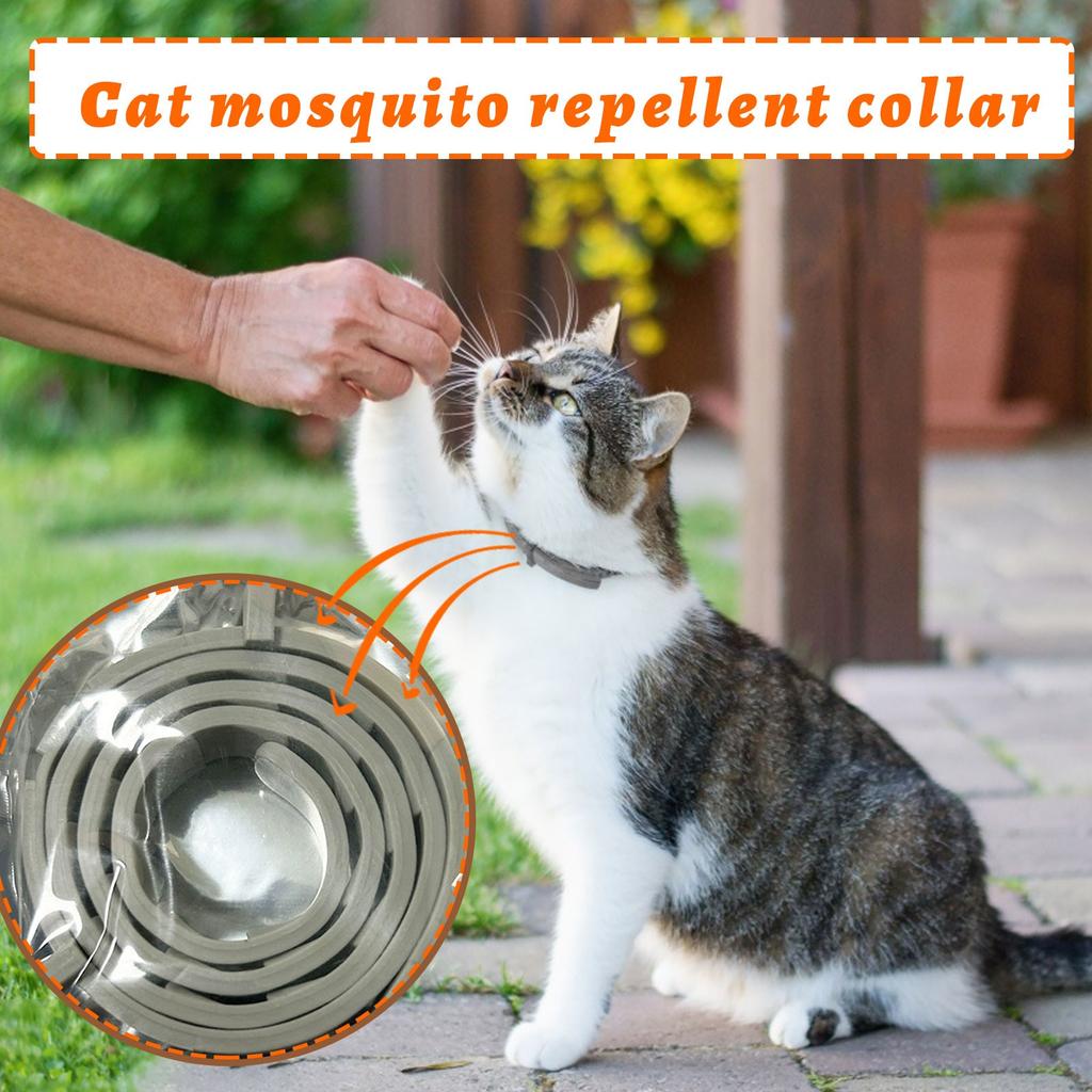 Halsband Hund Katze Verstellbares Haustier-Entwurmungshalsband