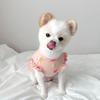 Two Legs Pet Shirt Small Breed Puppy Kitten Fall Rabbits Flowers Bear Embroidery Bodysuit Pet Tank Top Small Medium Dog Cat