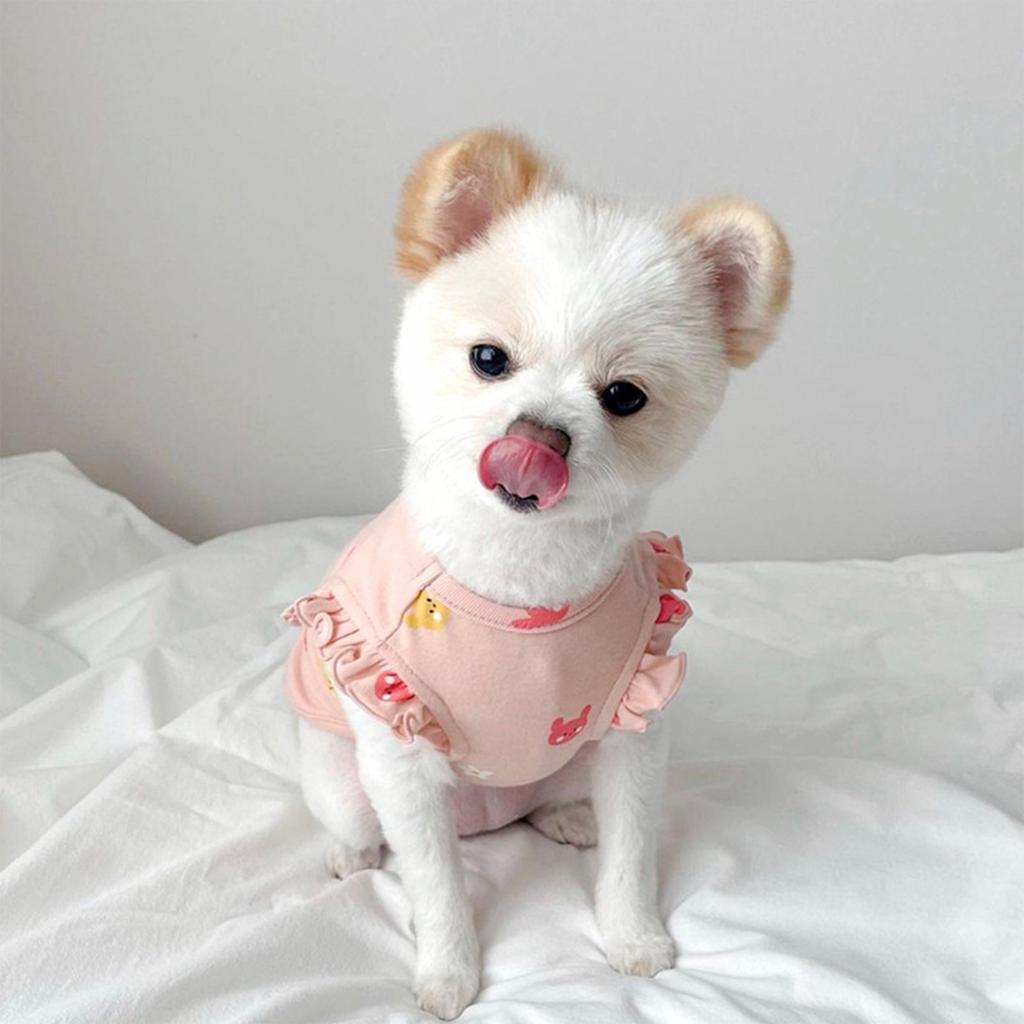 Two Legs Pet Shirt Small Breed Puppy Kitten Fall Rabbits Flowers Bear Embroidery Bodysuit Pet Tank Top Small Medium Dog Cat