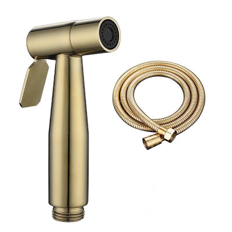 Stainless Steel Bidet Sprayer Set - Toilet Companion & Booster Shower Head