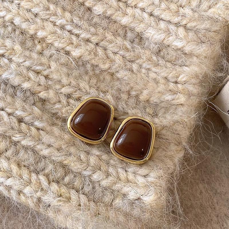 Maillard Coffee Color Amber Earrings Women's Autumn and Winter High-end Commuter Style Earrings Light Luxury Niche Design Earrings