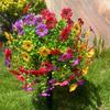 Artificial Topiary Ball Flowers For Outdoors Planters, Spring Decoration with Spike, UV Resistant Faux Summer Plants, Fake Bushes Indoor Decor