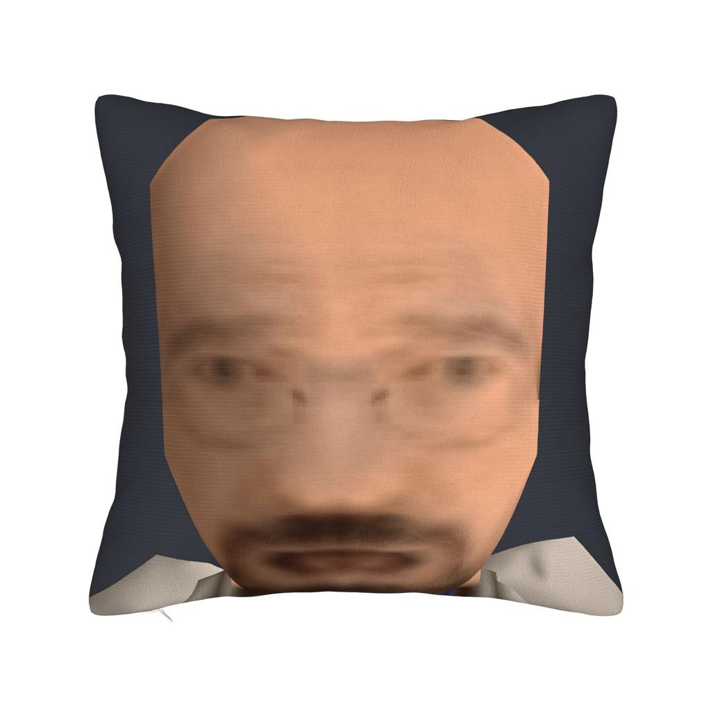 Walter White Meme Skateboard Pillow Case  Print Pillow Cover Morden Pillowcases For Living Room Chair