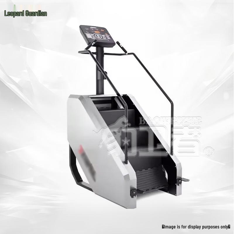 Baoweizhe Commercial Smart Stair Climber