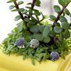 Miniature Dollhouse Bonsai Craft Fairy Garden Landscape Hedgehog Decor 10PCS