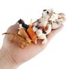 Cognitive Cat Simulation Model: Mini Tabby, Black, White Cat Educational Toy