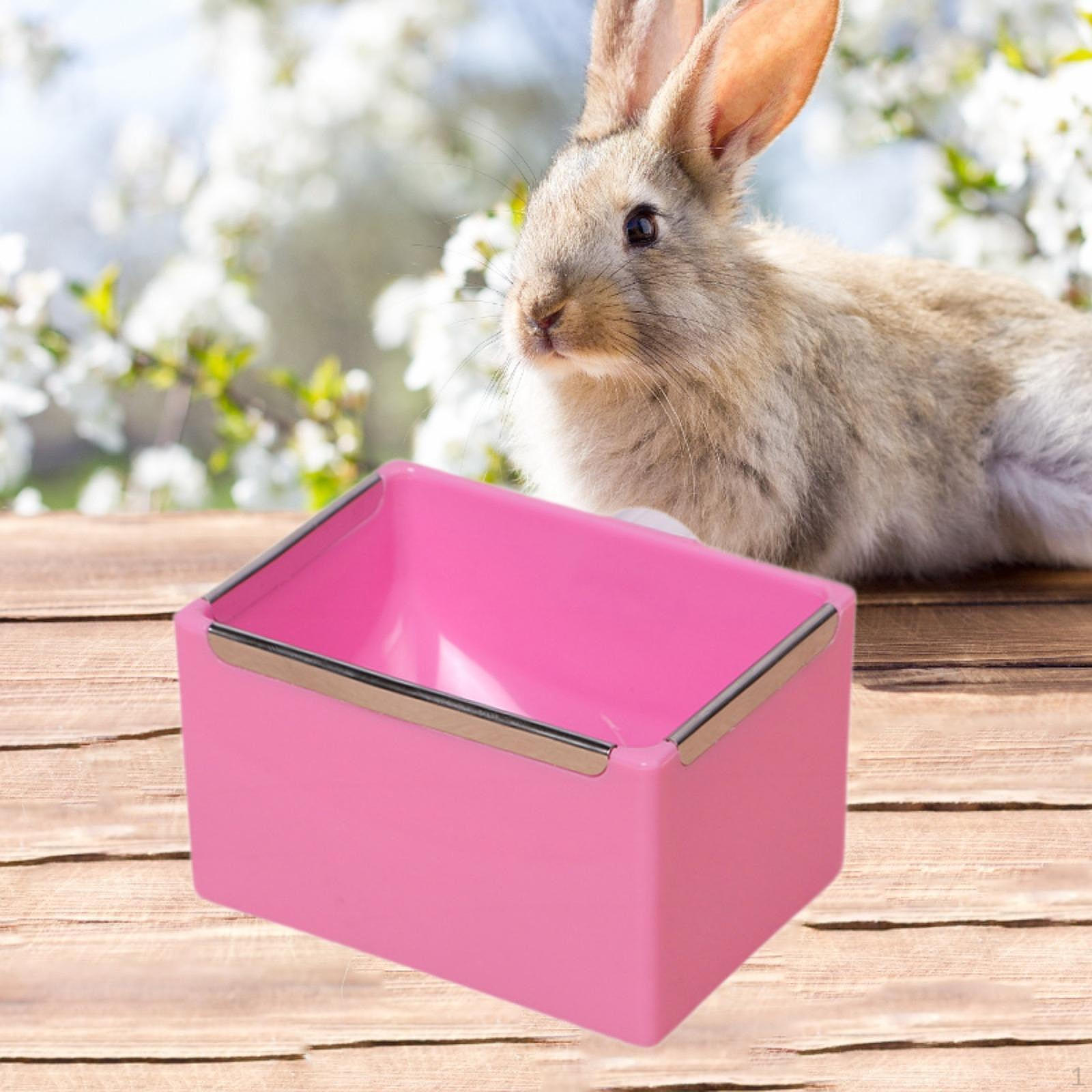 

Миска для хомяка, миска для корма кролика, декоративная миска для мелких животных, вода для песчанок розовый