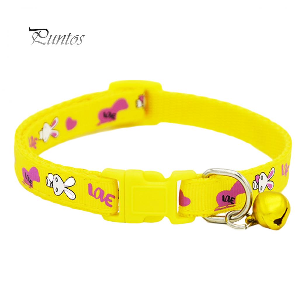 

Яркий ошейник для маленькой собачки