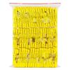 First Village 100 Large Golden Silk Chrysanthemum Tea Flowers