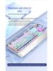 Langtu K1000 Mechanical Keyboard - Blue, Black, Brown, Red, Silver Switches, Esports Gaming for Girls, Office Wired, Custom Transparent Design