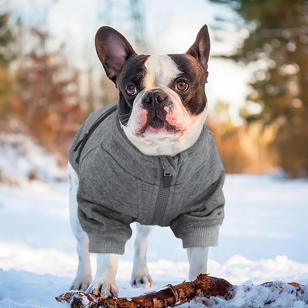 Kuoser Dog Sweatshirt, Winter Fall Warm Dog Sweater for Small Medium Sized Dogs Girl Boy, Cold Weather Pet Sweatshirts with Pocket Soft Doggie