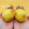Potato Shaped Silicone Toy Decoration Squeezable Slow Rebound Soft Stress Relief Ornament with Mud Texture for Desktop Handmade