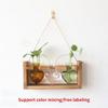 Heart Shape Glass Vases Propagation Station For Indoor Hydroponics Planter Plant Terrarium With Wooden Stand Home Decors
