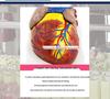 Authentic Human Heart Anatomy Model with Detachable Parts, B-Ultrasound & Color Ultrasound Compatible, 5:1 Scale