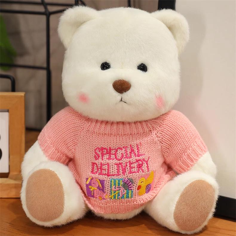 Teddy Bear Plush Sweater Toy - Perfect Birthday Gift for All Genders