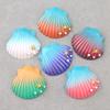Gradient Shell Starfish Resin Charms Ocean Series DIY Hair Fridge Magnet Phone Case Shoe Buckle Craft Accessories