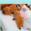 Soft Short Plush Capybara Cuddle Pillow Ideal For Sleepovers And Bedroom Decor 50cm And 90cm Sizes