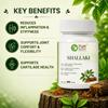 Pure Nutrition Shallaki Tabletten | Shallaki Schmerzlindernde Tabletten | Boswellia Kräuterergänzung für Gelenkgesundheit, Beweglichkeit & Unterstützung eines aktiven Lebensstils