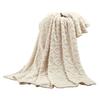 Wind Solid Color Simple Single Layer Taperskin Velvet Blanket Nap Blanket Spring Summer Air Conditioning Blanket And Blanket