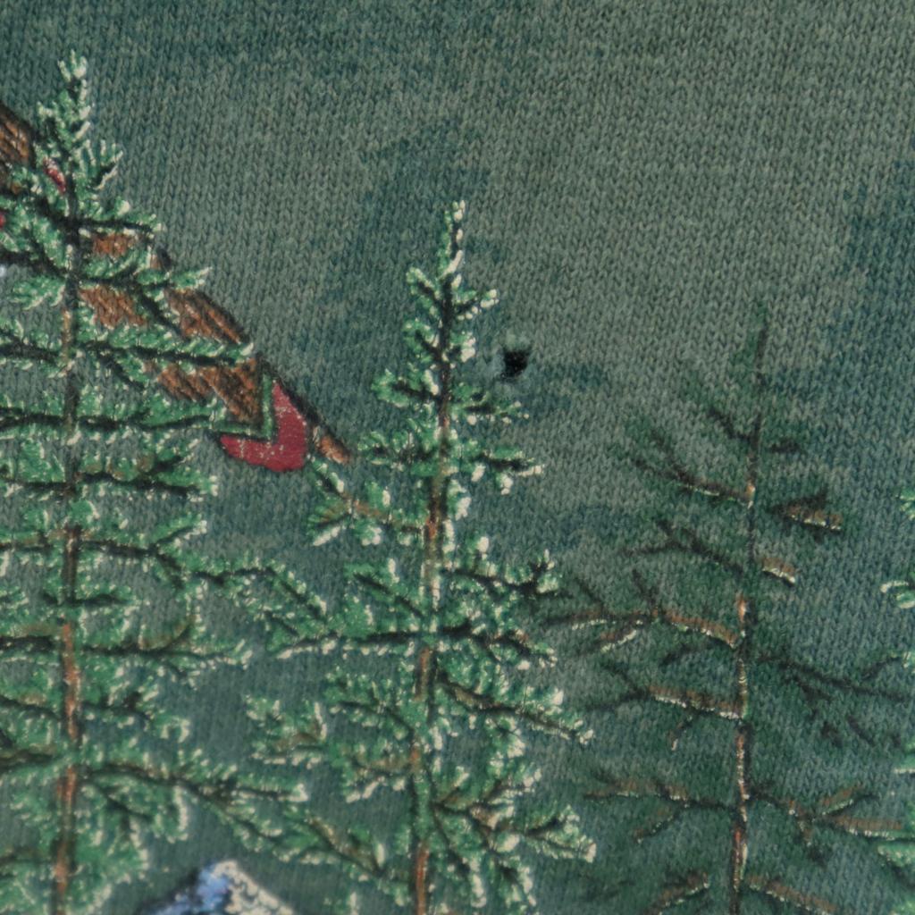 PRAIRIE MOUNTAIN 90s Made in USA Old Print Short sleeve T-shirt Men's Used