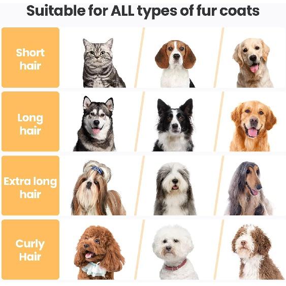 Sada vysavače na stříhání psů, 13 kPa silnější sání 99,9 % vysavač na srst zvířat pro línání s 5 profesionálními nástroji na stříhání, 1,5 l kelímek na stříhání chlupů psů a koček