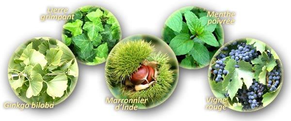 Veinessence Baume Veinotonique