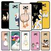 Huse pentru telefoane – Huse tip bumper pentru telefon