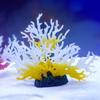 Colorful Coral Micro Landscape PVC Coral Ornaments Coral Figure Simulation Coral  Fish Tank